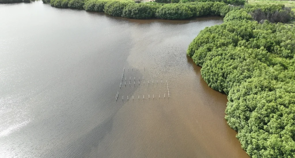 vue aérienne du delta de l'Ouémé