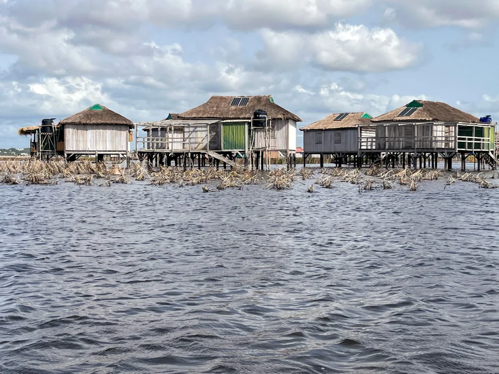 habitations sur pilotis du lac Nokoué, au-dessus de la végétation aquatique sèche
