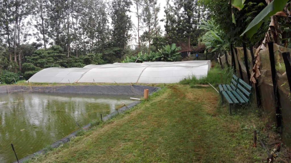 bassin étanché sous filet de protection et ouvrages couverts sous tunnels